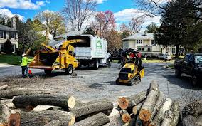 Lawn Grading and Leveling in Woodsfield, OH